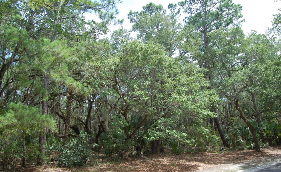 Front view of lot