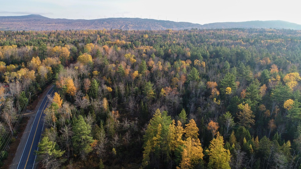 DJI_0041