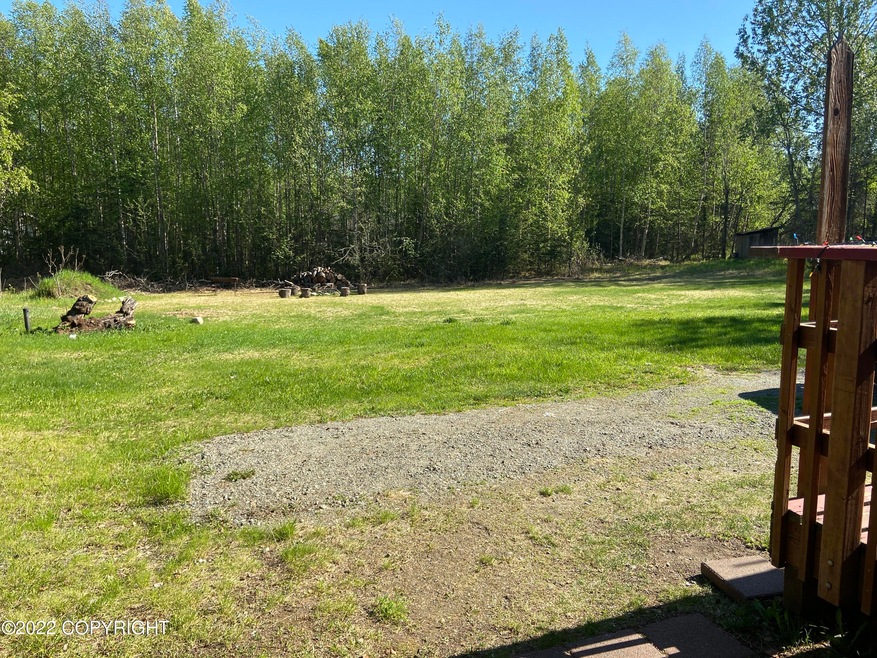 Back yard