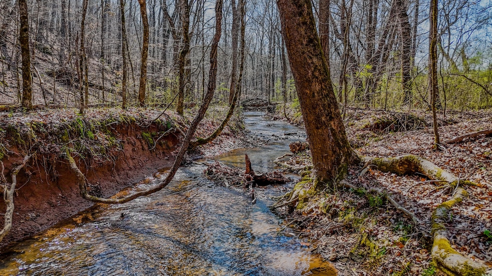 0 Halls Valley Rd NW unit 22991963, Rome, GA 30165 - photo 1