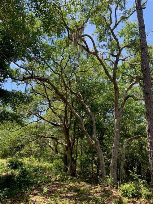 14969 E Royal Oak Dr, Perry, FL 32348 - photo 1