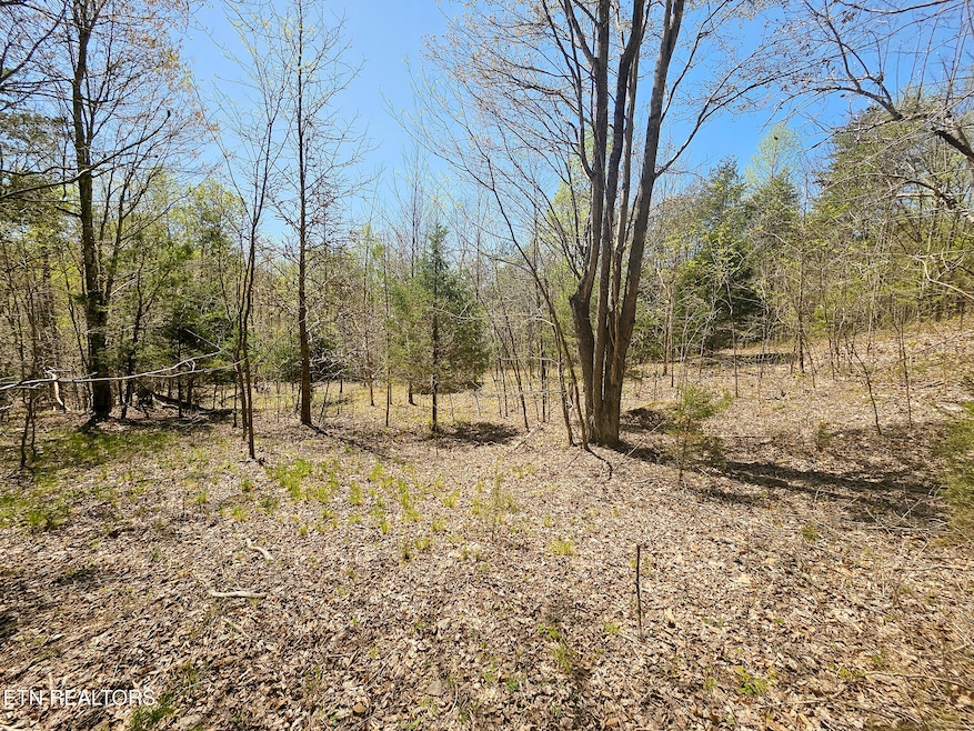 170 Bluff View Rd, New Tazewell, TN 37825 - photo 1