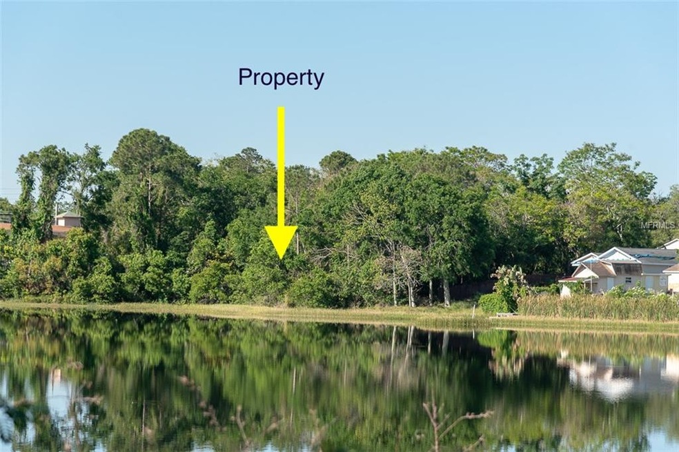 Looking at the property from across the lake.