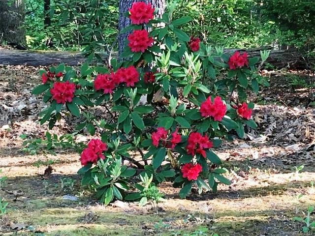 720 Salisbury Rd, Hendersonville, NC 28792 - photo 1