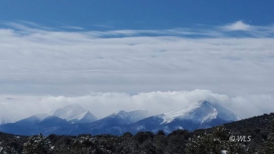 Real View to the West