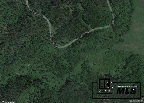 20335 King Bolt Trail, Oak Creek, CO 80467 - photo 1