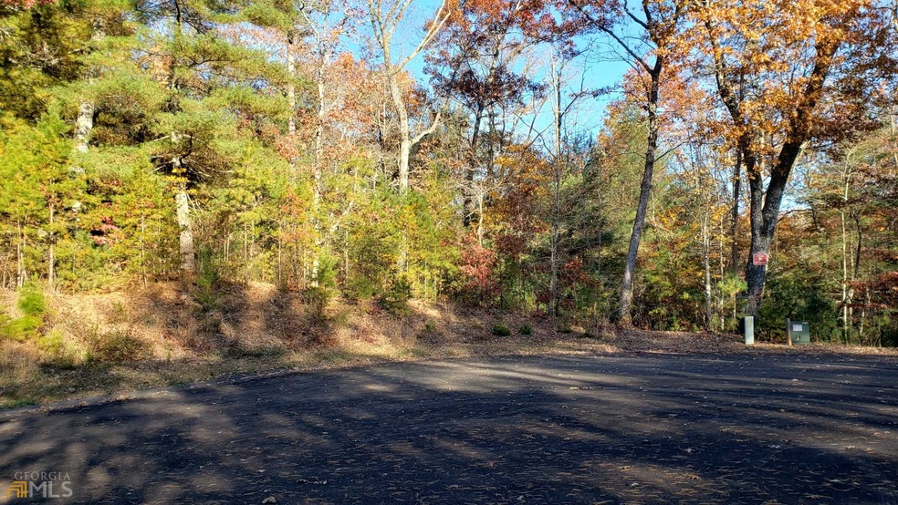LOT 43 Cant Hook Dr, Ellijay, GA 30540 - photo 1