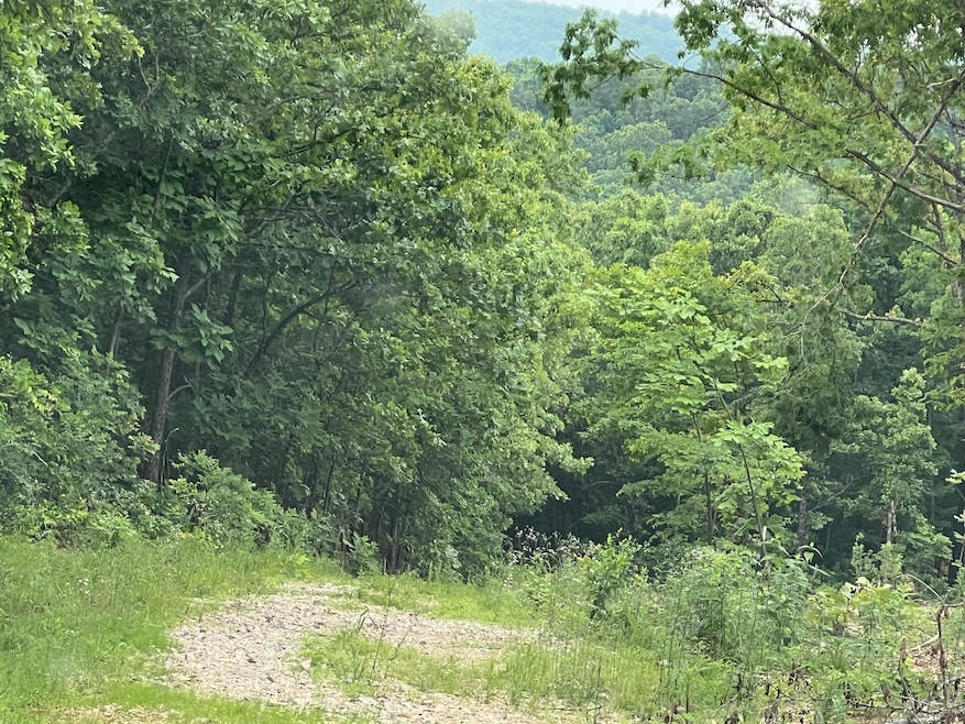 000 Pr Off Walnut Grove, Mammoth Spring, AR 72554 - photo 1