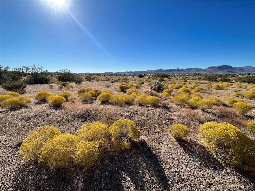 Buildable Lot at 000 North Apache. Standing Near C