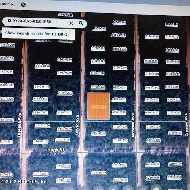 1004 David Ave, Interlachen, FL 32148 - photo 1