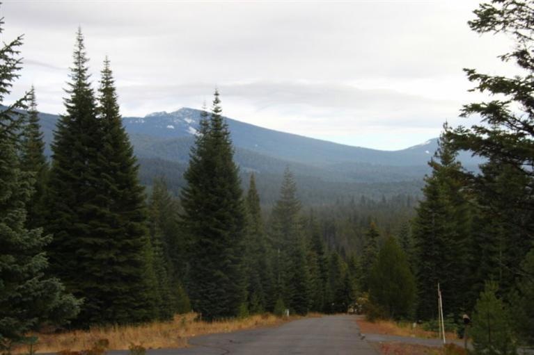 Primary Photo