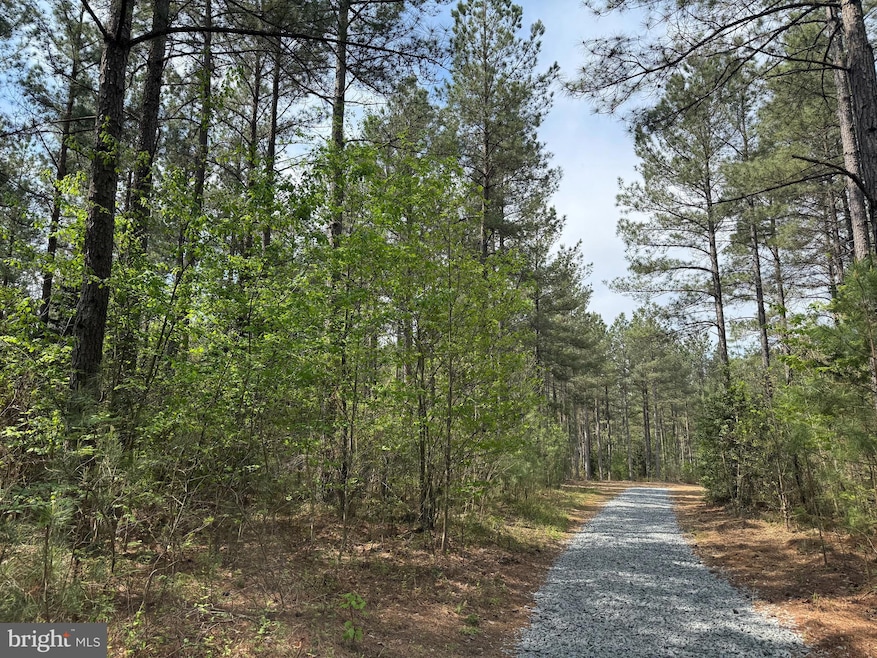 TBD 1 Covered Bridge Rd, Kents Store, VA 23084 - photo 1
