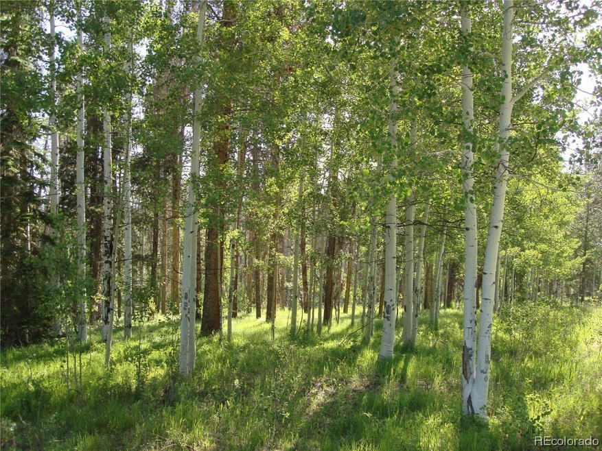 32618 Colt Trail, Oak Creek, CO 80467 - photo 1