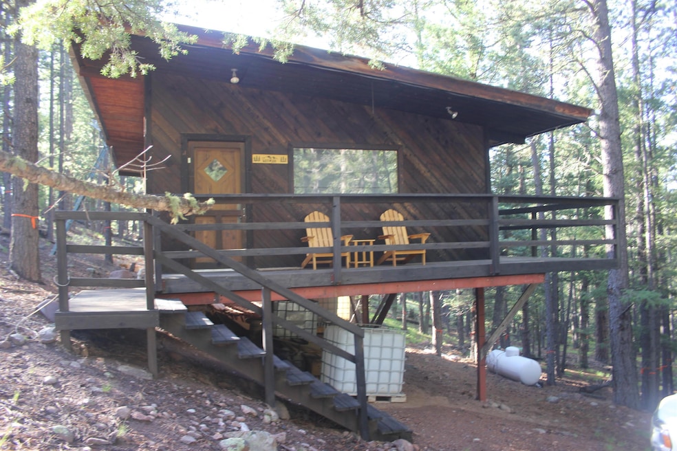 74 Road 9, Eagle Nest, NM 87718 - photo 1