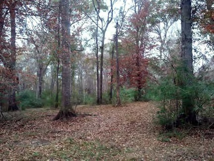 na Summit Holmesville Rd, McComb, MS 39648 - photo 1