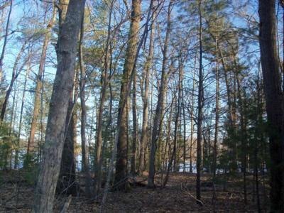 1 Island Dr, Merrill Township, MI 49309 - photo 1