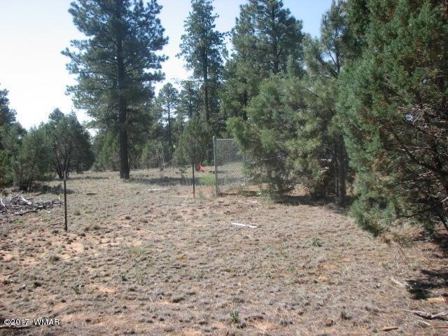 2096 Knotty Pine