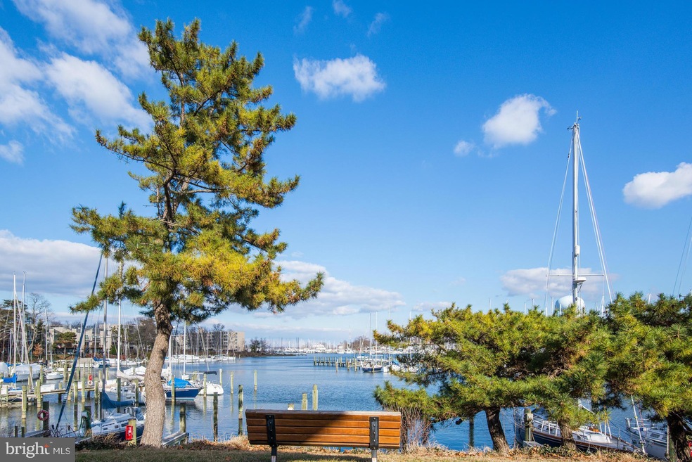 766 Fairview Ave unit A, Annapolis, MD 21403 - photo 1