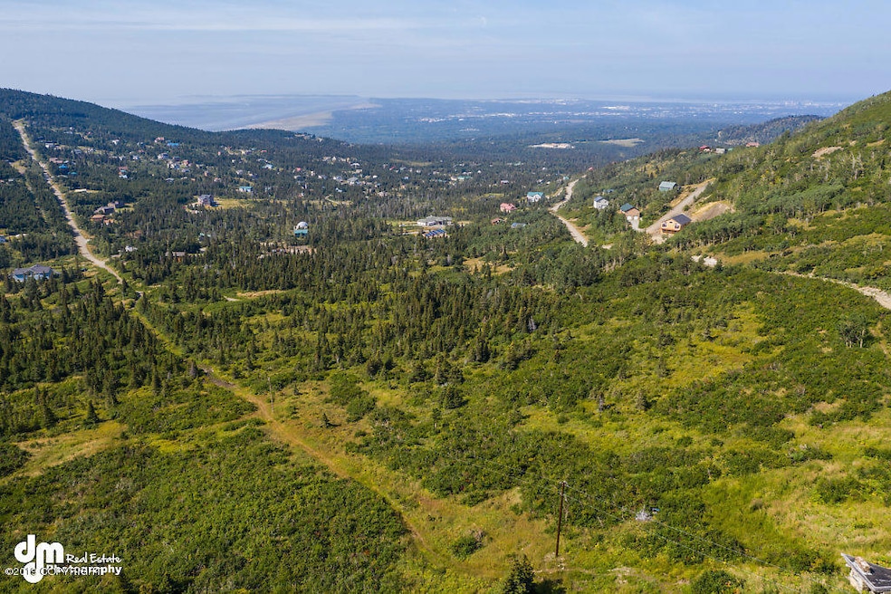 Aerial of 9295 Paine Rd