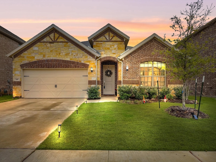 541 Breeds Hill Rd, Little Elm, TX 75068 - photo 1