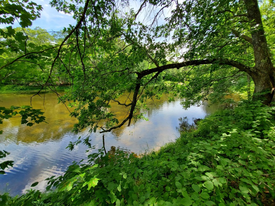 Marsh Stream fntg
