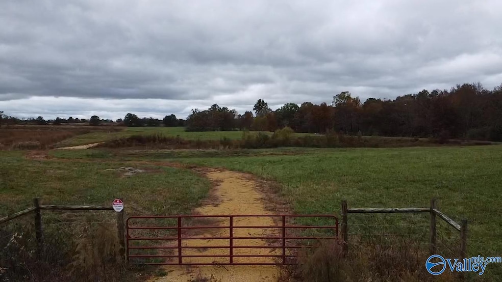 13.9 Acres County Road 429, Fyffe, AL 35971 - photo 1