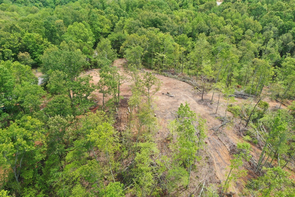 0 Hurricane Creek Rd unit 2153987, Linden, TN 37096 - photo 1