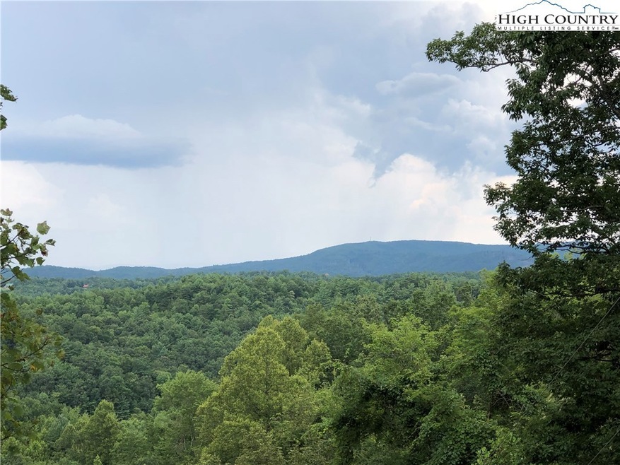 Lot 212 Casey Mountain Rd, Purlear, NC 28665 - photo 1