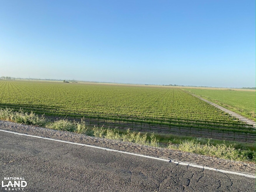 52415-52979 S River Rd, Clarksburg, CA 95612 - photo 1