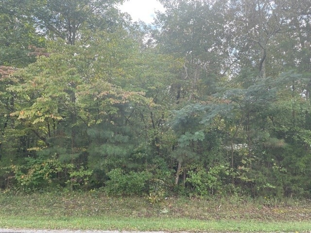 0 Old Seminary Rd, Manchester, TN 37355 - photo 1