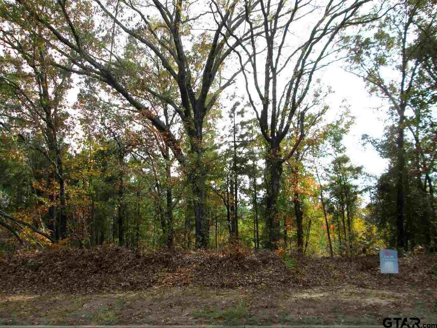 2085 Equestrian Ln, Tyler, TX 75703 - photo 1