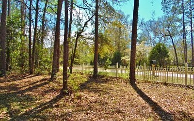 TBD Albany Terrace, Fort White, FL 32038 - photo 1