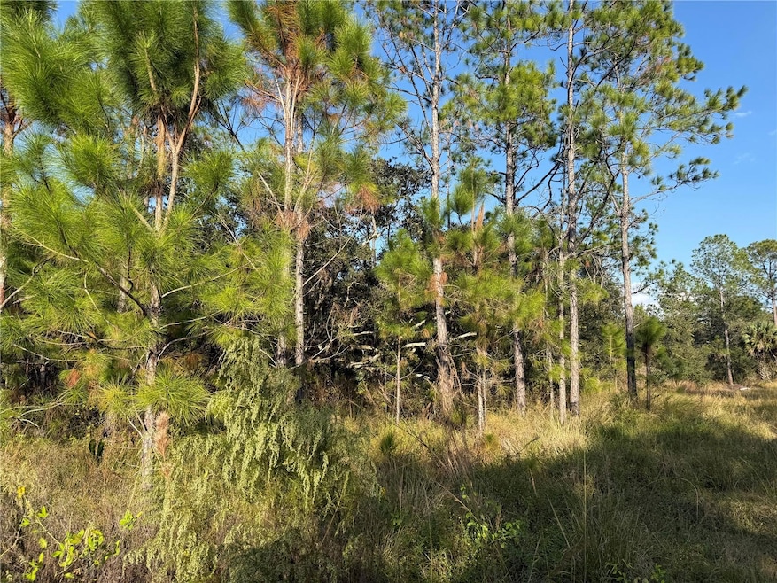 0 River Ranch Blvd unit MFRO6363436, Lake Wales, FL 33898 - photo 1