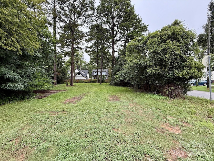 1904 St Paul St, Charlotte, NC 28216 - photo 1