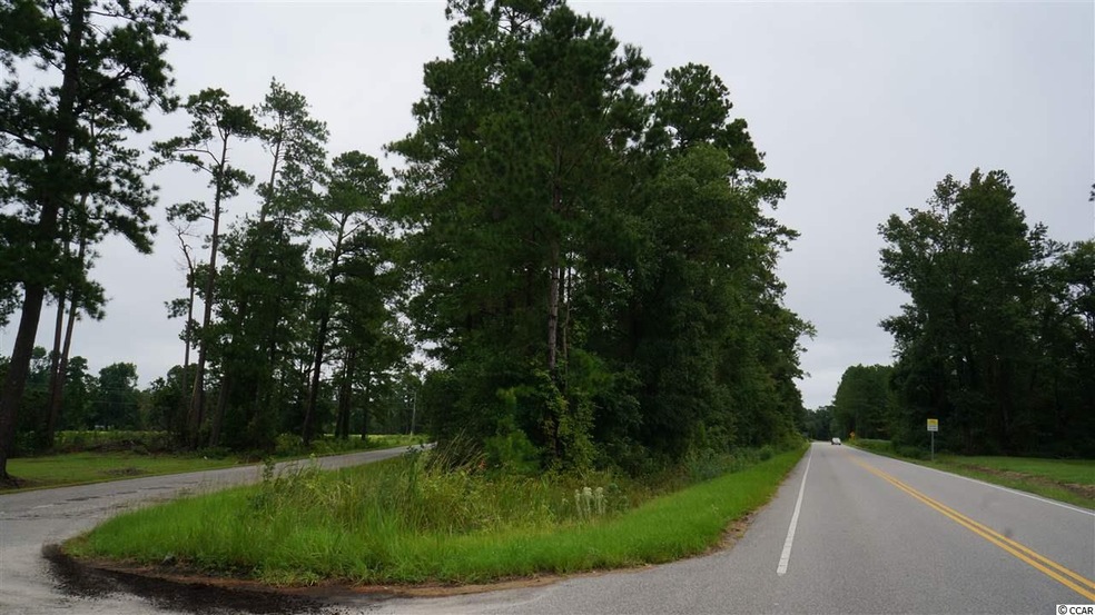 450 Boggy Rd, Conway, SC 29526 - photo 1