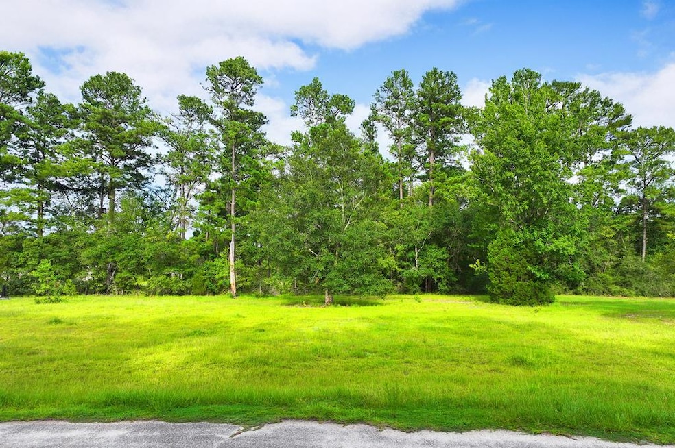 TBD Stanley Dr, Wewahitchka, FL 32465 - photo 1