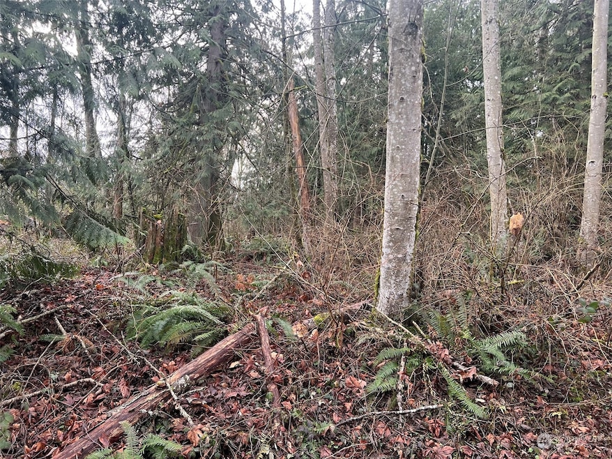 0 XX Valley View Rd, Sedro Woolley, WA 98284 - photo 1