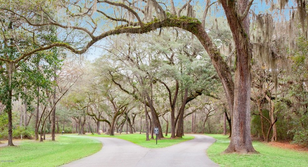 Bull Point - Road with Oaks-Web