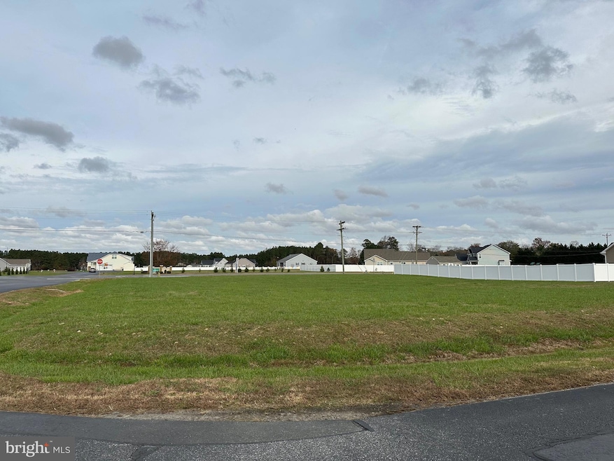 Lot 77 Holly Tree Cir, Georgetown, DE 19947 - photo 1