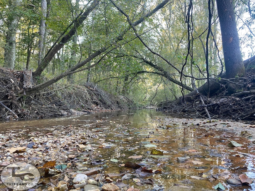 2081 Gallatin St, Hazlehurst, MS 39083 - photo 1