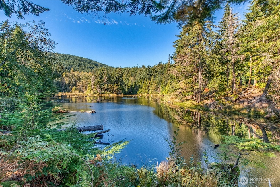 212 Eagle Lake Ln, Orcas Island, WA 98279 - photo 1