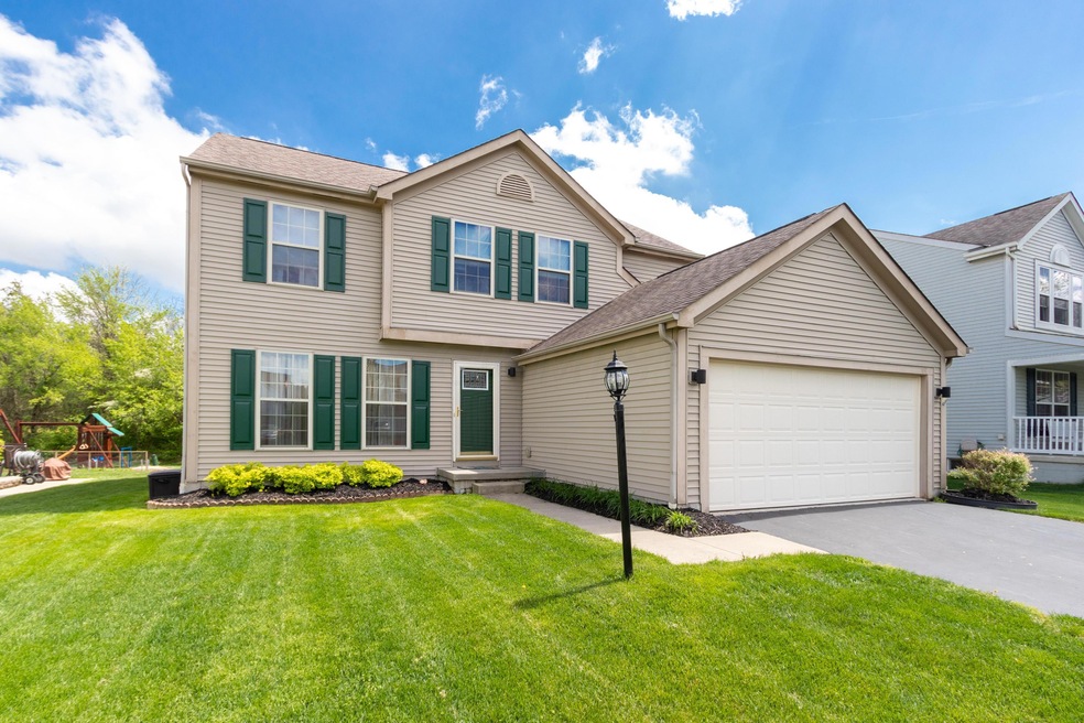 189 Purple Finch Loop-2-FULL
