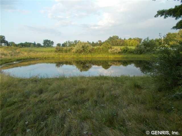Land/Lot