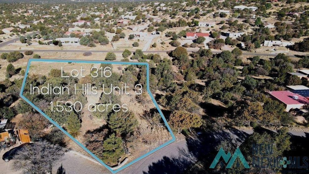 Lot 316 Eddie Ward, Silver City, NM 88061 - photo 1