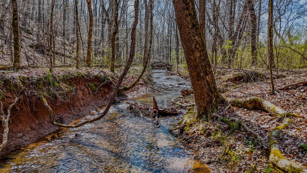 0 Halls Valley Rd NW unit 25650602, Rome, GA 30165 - photo 1