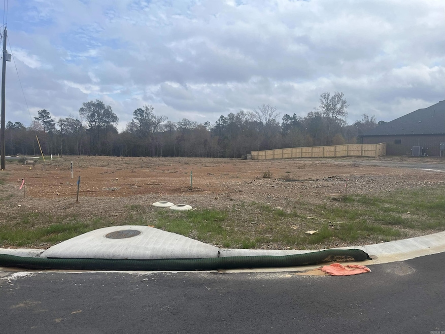 8000 Creek Rock Cove, Alexander, AR 72002 - photo 1