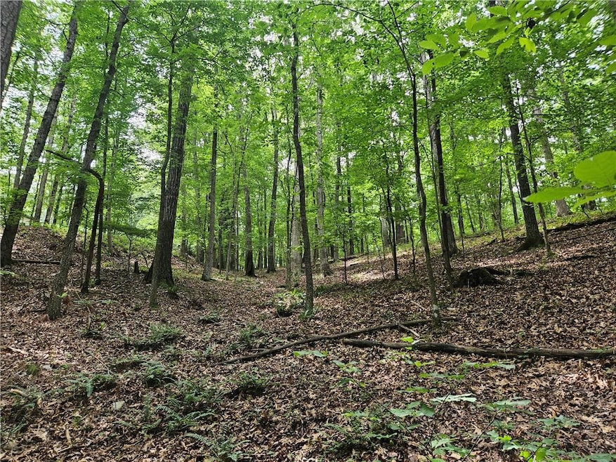 View of tree filled area
