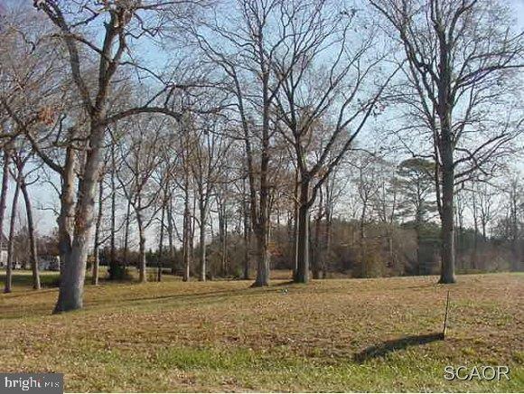 24781 Peterkins Rd, Georgetown, DE 19947 - photo 1