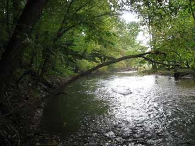 273 Cold Spring Rd, Stanfordville, NY 12581 - photo 1