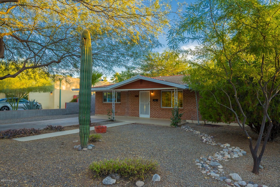 Low care front yard
